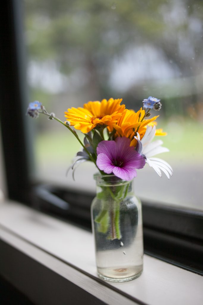 Organized Tiny Kitchen Flower Vase on Windowsill