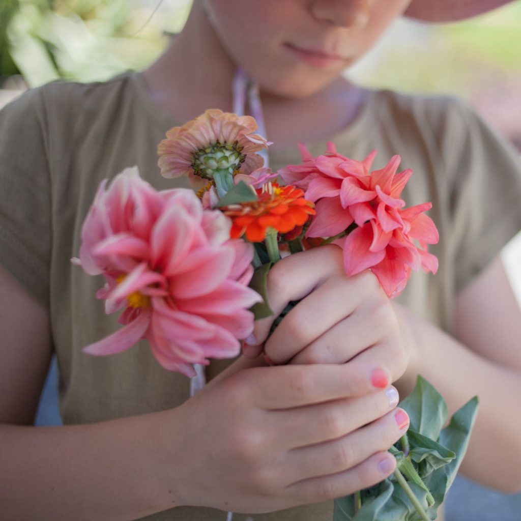 Girl holding pink dahlias and orange zinnia flowers in small bouquet