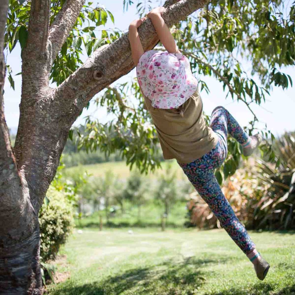 Girl swinging from branch of tree