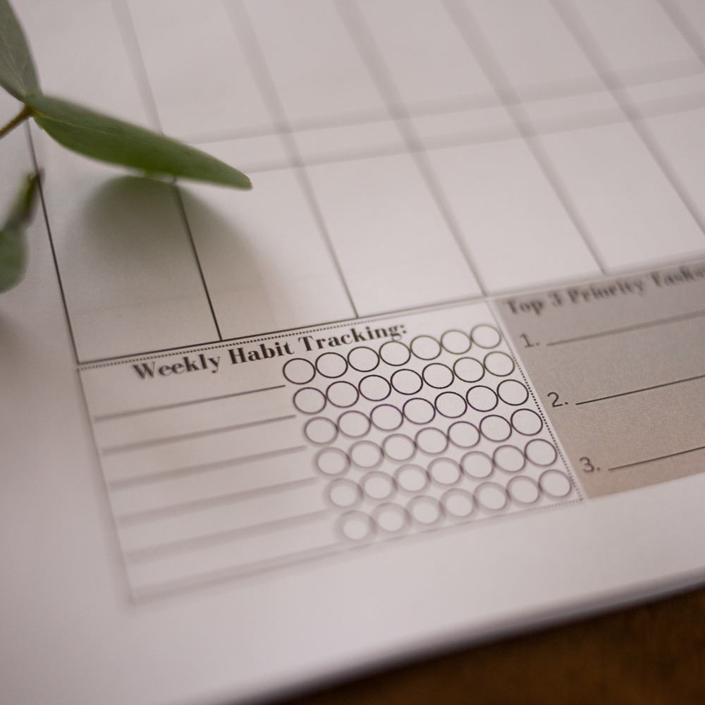 2025-2026 The Ultimate Homeschool + Life Admin Planner (A4 Size) - Image 11