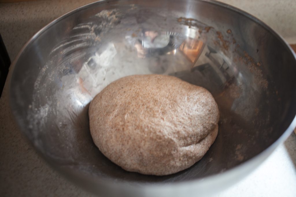 dough preparing to rise for freshly milled sourdough sandwich bread