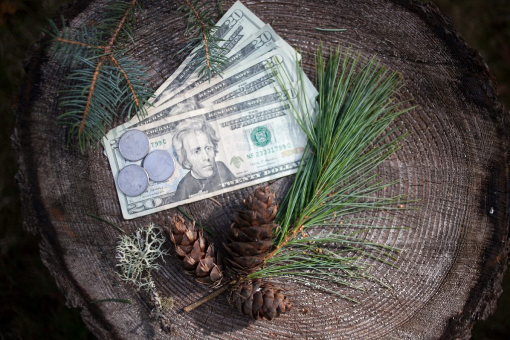 Christmas on a Budget cash and Christmas decor